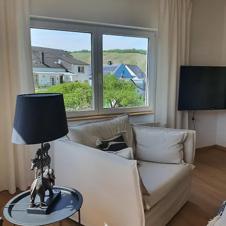 River Mosel Homes Papagallo And Kakadu Max 9 Persons Apartment Mulheim an der Mosel