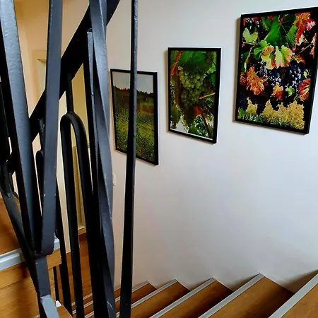 House With Two Aprtments Together, Up To 9 Persons Mulheim an der Mosel