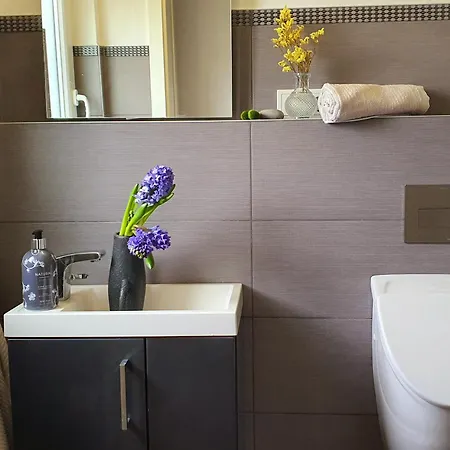 Διαμέρισμα House With Two Aprtments Together, Up To 9 Persons Muelheim an der Mosel