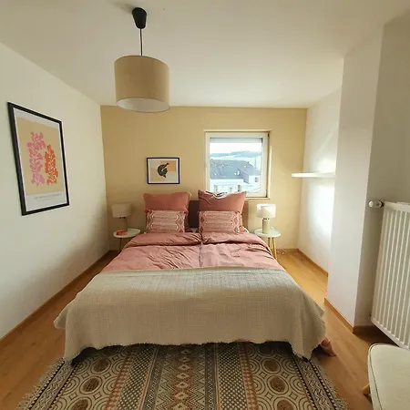 River Mosel Homes Papagallo And Kakadu Max 9 Persons Apartment Mulheim an der Mosel