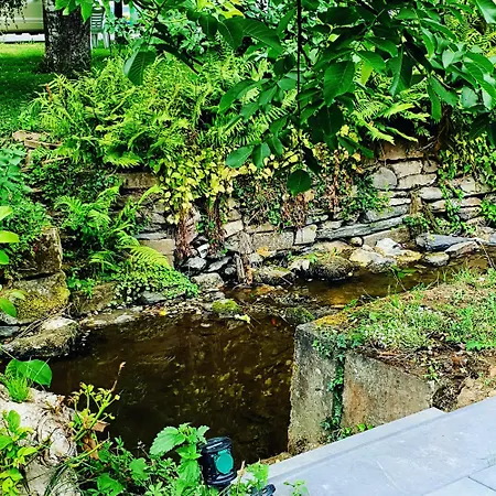 Apartment River Mosel Homes Papagallo And Kakadu Max 9 Persons